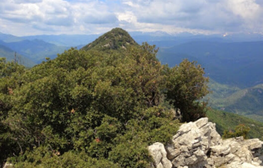 Diumenge 1 desembre: Cim del Bestracà (1065 m)